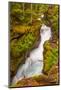 Montana, Glacier National Park. Waterfall Landscape-Jaynes Gallery-Mounted Photographic Print