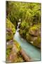 Montana, Glacier National Park. Waterfall Landscape-Jaynes Gallery-Mounted Photographic Print