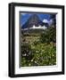 Montana, Glacier NP. Clements Mountain and Field of Arnica and Asters-Steve Terrill-Framed Photographic Print