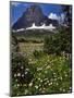 Montana, Glacier NP. Clements Mountain and Field of Arnica and Asters-Steve Terrill-Mounted Photographic Print