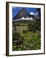 Montana, Glacier NP. Clements Mountain and Field of Arnica and Asters-Steve Terrill-Framed Photographic Print