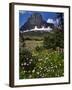 Montana, Glacier NP. Clements Mountain and Field of Arnica and Asters-Steve Terrill-Framed Photographic Print