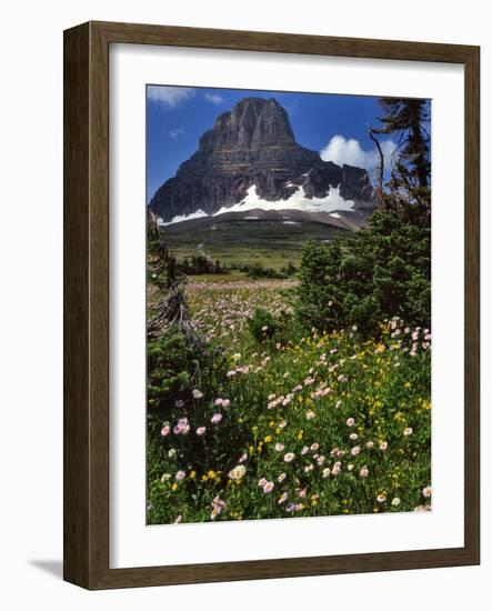 Montana, Glacier NP. Clements Mountain and Field of Arnica and Asters-Steve Terrill-Framed Photographic Print