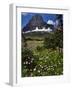 Montana, Glacier NP. Clements Mountain and Field of Arnica and Asters-Steve Terrill-Framed Photographic Print