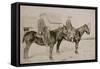 Montana Hats, Chaps & Guns-null-Framed Stretched Canvas