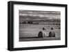 Montana Hay Bales-Alan Majchrowicz-Framed Photographic Print