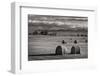 Montana Hay Bales-Alan Majchrowicz-Framed Photographic Print