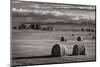 Montana Hay Bales-Alan Majchrowicz-Mounted Photographic Print