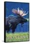 Montana, Last Best Place, Moose at Night-Lantern Press-Framed Stretched Canvas