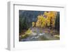 Montana, Mineral County, St. Regis River and trees with golden fall color-Jamie & Judy Wild-Framed Photographic Print