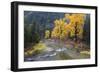 Montana, Mineral County, St. Regis River and trees with golden fall color-Jamie & Judy Wild-Framed Photographic Print