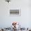 Montana, Red Rock Lakes, Franklyns Gulls and Ring Billed Gulls Roost-Elizabeth Boehm-Framed Photographic Print displayed on a wall