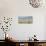 Montana, Red Rock Lakes Nwr, Franklyns Gulls Blurred in Flight-Elizabeth Boehm-Photographic Print displayed on a wall