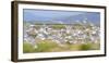 Montana, Red Rock Lakes Nwr, Franklyns Gulls Blurred in Flight-Elizabeth Boehm-Framed Photographic Print