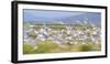 Montana, Red Rock Lakes Nwr, Franklyns Gulls Blurred in Flight-Elizabeth Boehm-Framed Photographic Print