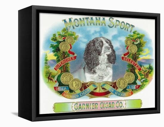 Montana Sport Brand Cigar Box Label-Lantern Press-Framed Stretched Canvas