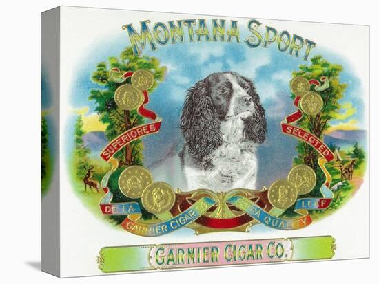 Montana Sport Brand Cigar Box Label-Lantern Press-Stretched Canvas