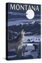 Montana - Valley Scene at Night with Wolves-Lantern Press-Stretched Canvas