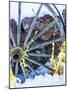 Montana Wagon Wheel I-Heidi Bannon-Mounted Photo