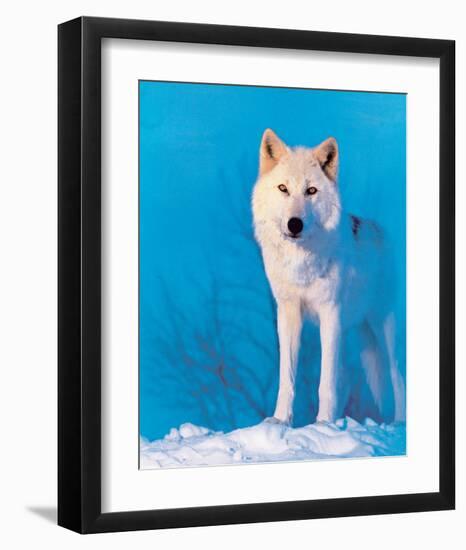 Montana Wolf-null-Framed Art Print