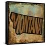 Montana-Art Licensing Studio-Framed Stretched Canvas