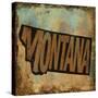 Montana-Art Licensing Studio-Stretched Canvas