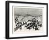 Montana-null-Framed Giclee Print