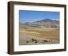 Montane Grasslands with Cattle Grazing in Front of Bale Mountains, Southern Highlands, Ethiopia-Tony Waltham-Framed Photographic Print