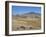 Montane Grasslands with Cattle Grazing in Front of Bale Mountains, Southern Highlands, Ethiopia-Tony Waltham-Framed Photographic Print