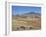 Montane Grasslands with Cattle Grazing in Front of Bale Mountains, Southern Highlands, Ethiopia-Tony Waltham-Framed Photographic Print