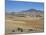 Montane Grasslands with Cattle Grazing in Front of Bale Mountains, Southern Highlands, Ethiopia-Tony Waltham-Mounted Photographic Print