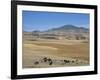 Montane Grasslands with Cattle Grazing in Front of Bale Mountains, Southern Highlands, Ethiopia-Tony Waltham-Framed Photographic Print