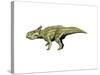 Montanoceratops Dinosaur-null-Stretched Canvas