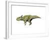 Montanoceratops Dinosaur-null-Framed Art Print