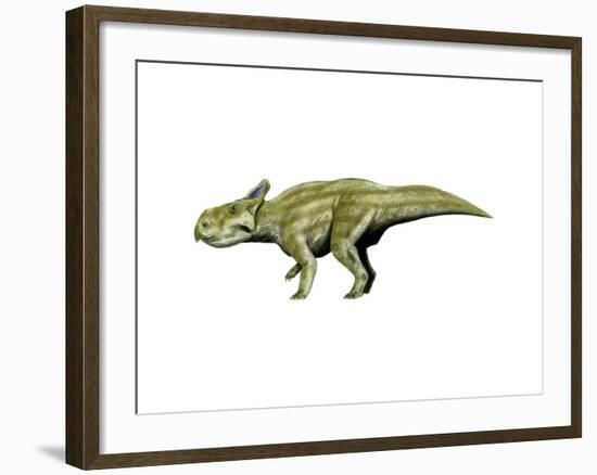 Montanoceratops Dinosaur-null-Framed Art Print