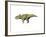 Montanoceratops Dinosaur-null-Framed Art Print