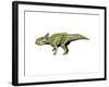 Montanoceratops Dinosaur-null-Framed Art Print