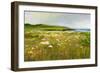 Montara Bluffs-Sheila Finch-Framed Art Print