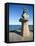 Montauk Point Lighthouse, Montauk, Long Island, New York State, USA-Robert Harding-Framed Stretched Canvas