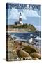 Montauk Point Lighthouse - New York-Lantern Press-Stretched Canvas