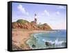 Montauk Point, NY-Eduardo Camoes-Framed Stretched Canvas