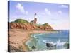 Montauk Point, NY-Eduardo Camoes-Stretched Canvas