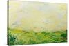 Montauk Summer-Allan Friedlander-Stretched Canvas