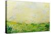 Montauk Summer-Allan Friedlander-Stretched Canvas