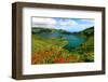 Montbretias in bloom at the caldera lake Lagoa do Fogo, Sao Miguel Island, Azores, Portugal-null-Framed Art Print