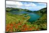 Montbretias in bloom at the caldera lake Lagoa do Fogo, Sao Miguel Island, Azores, Portugal-null-Mounted Art Print