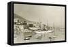 Monte Carlo Harbour-null-Framed Stretched Canvas