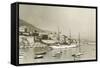 Monte Carlo Harbour-null-Framed Stretched Canvas