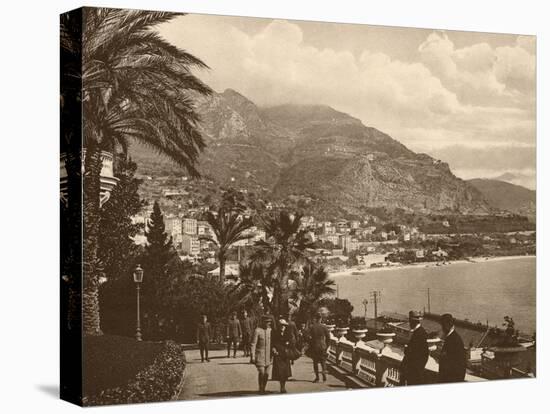 Monte Carlo View-null-Stretched Canvas