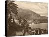 Monte Carlo View-null-Stretched Canvas